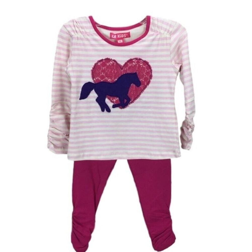 Toddler Girl 2T Legging Outfit Set Heart Horse Long Sleeve Pink Purple CR Kids